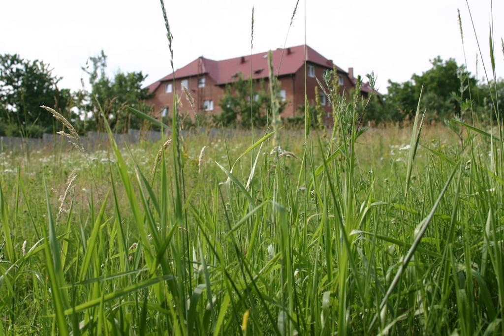 Motel U Olka Boczow Exterior photo